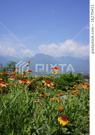 Ikeda-machi Otenningaku和北阿爾卑斯山觀察 16270451