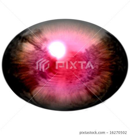 Raptor purple eye with pupil and bright red retina 16270502
