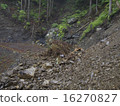 Collapse zone 16270827