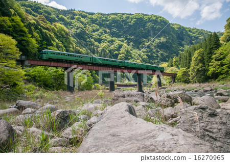 新鮮的綠色久留米線 16270965