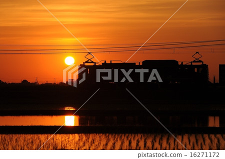 日落（剪影） 16271172