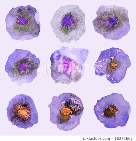 Set of Watercolor Flower. Set of Watercolor Flower. 16271662