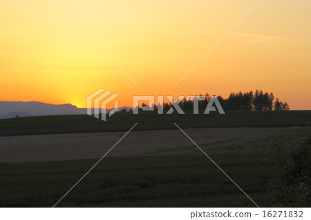 Twilight Hill Twilight Hill 16271832