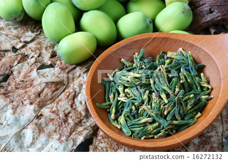 Collection lotus flower, seed, tea, healthy food 16272132