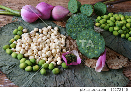 Collection lotus flower, seed, tea, healthy food Collection lotus flower, seed, tea, healthy food 16272146
