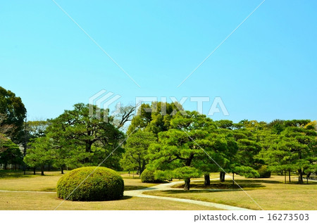 Nijo Castle Ninomaru Garden Nijo Castle Ninomaru Garden 16273503