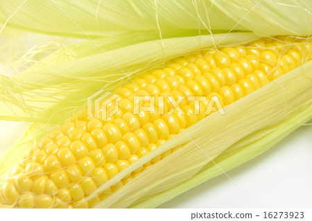 美味的玉米 16273923