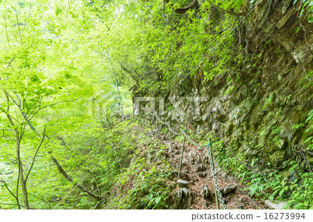 Nishizawa Valley · Trekking Course 16273994