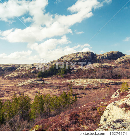 Spring Norwegian landscape with cloudy sky 16274374