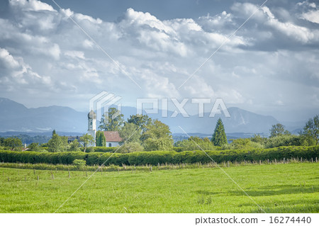 ilka height 16274440