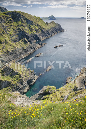 view from Reencaheragh to Skellig Island view from Reencaheragh to Skellig Island 16274472