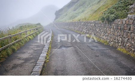 road in mist 16274480