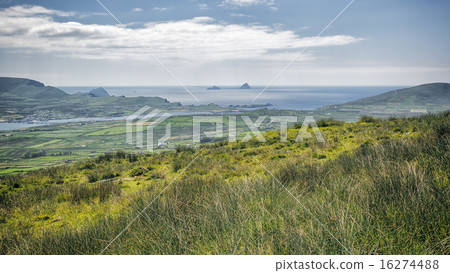 Skellig Ireland 16274488