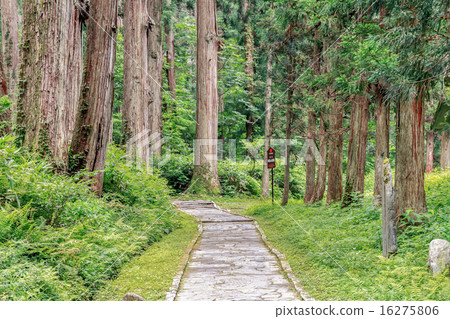 Mount Haguro - Dewa Sanzan, Yamagata Mount Haguro - Dewa Sanzan, Yamagata 16275806