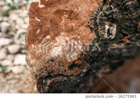 Rock salt on stones Rock salt on stones 16275901