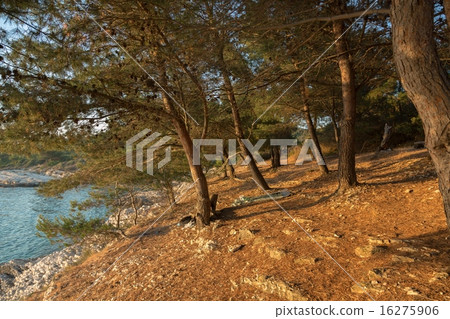 Relaxing scene with sport activity Relaxing scene with sport activity 16275906