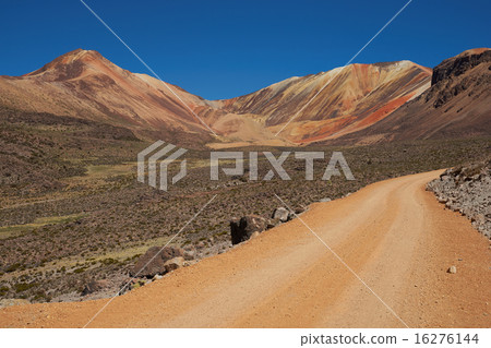Gravel Road in the Atacama 16276144