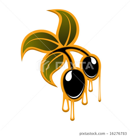 Olive branch with black fruits and drops 16276783