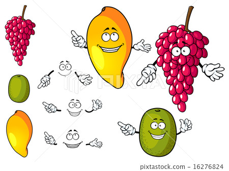 Cartoon mango, grape and kiwi fruits 16276824