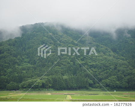 從山上下雨的霧和米 16277926