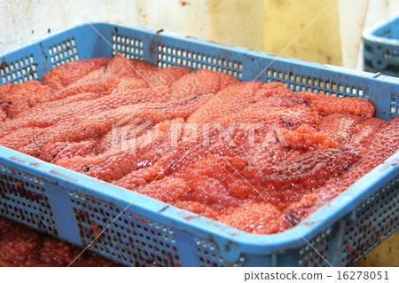 魚子鮭魚子 16278051