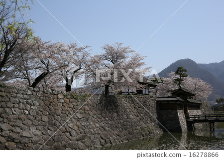 Sakura Matsushiro城堡廢墟 16278866