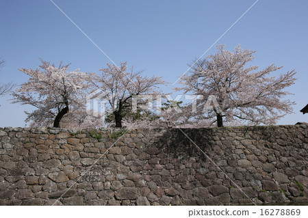 松城城遺址 16278869