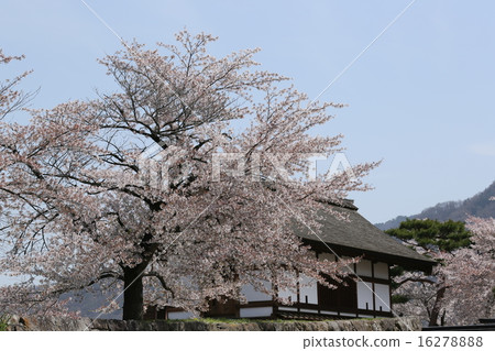 松城城遺址 16278888