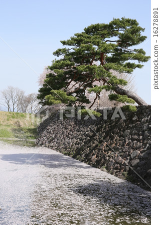 Matsushiro Castle ruins 16278891