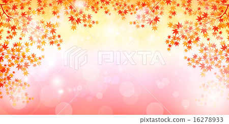 Maple autumn leaves background Maple autumn leaves background 16278933