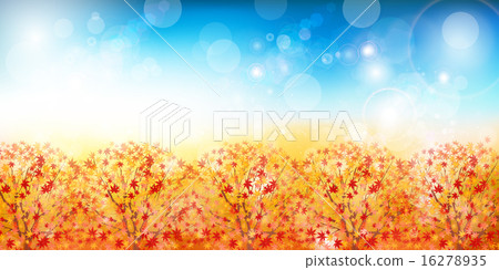 Maple autumn leaves background Maple autumn leaves background 16278935