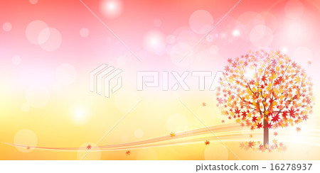槭樹秋葉背景 槭樹秋葉背景 16278937