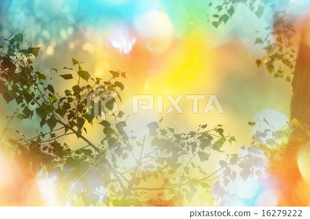 Leaves 16279222