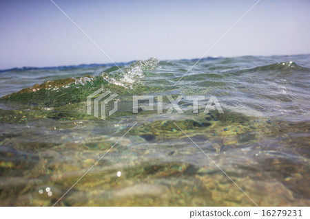 Wave 16279231