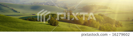 Rural landscape Rural landscape 16279602