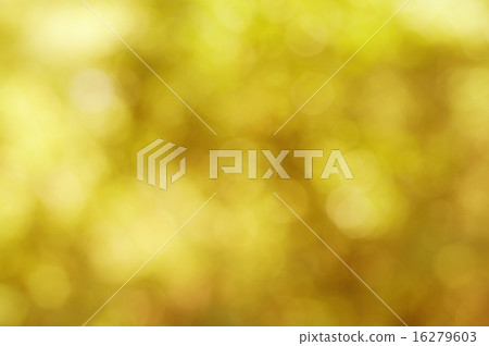 Natural autumn  bokeh 16279603