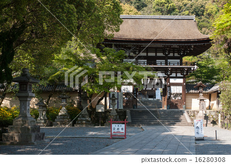 Matsuo Taisha Shrine 16280308