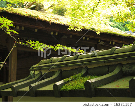 Roof tile of Kyoto Roof tile of Kyoto 16281197