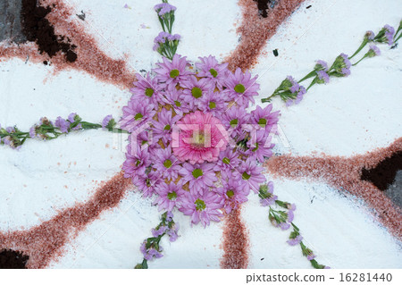 petal and flower carpet for corpus domini petal and flower carpet for corpus domini 16281440