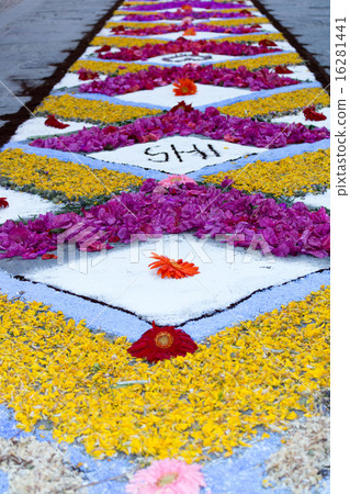petal and flower carpet for corpus domini 16281441