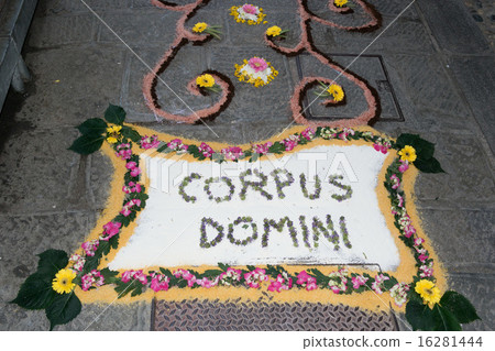 petal and flower carpet for corpus domini petal and flower carpet for corpus domini 16281444