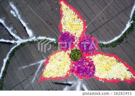 petal and flower carpet for corpus domini petal and flower carpet for corpus domini 16281451