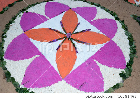 petal and flower carpet for corpus domini 16281465