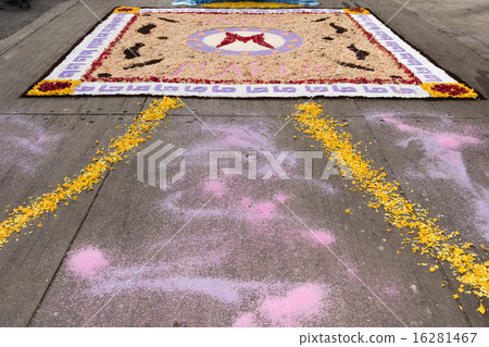 petal and flower carpet for corpus domini petal and flower carpet for corpus domini 16281467