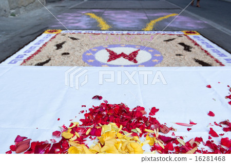 petal and flower carpet for corpus domini petal and flower carpet for corpus domini 16281468