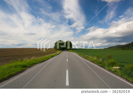 Empty road between summer field at sunset 16282019