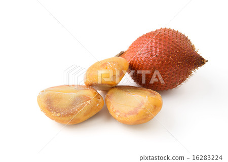 salacca fruit 16283224
