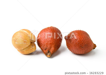 salacca fruit 16283229