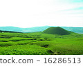 Aso 16286513
