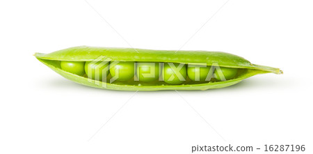 Opened pea pod green sugar 16287196